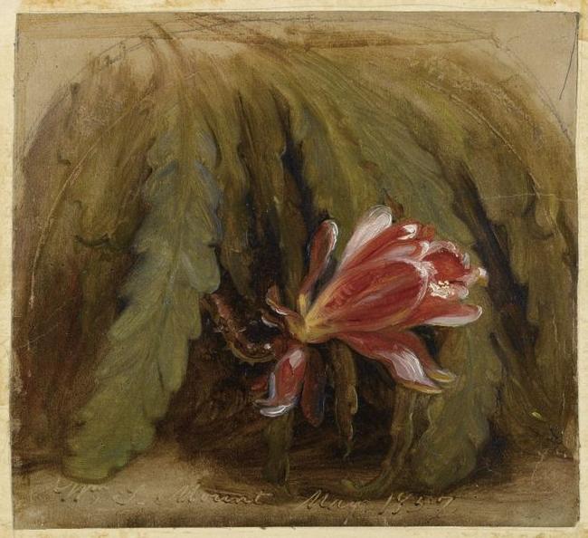 William Sidney Mount Cactus in Blossom